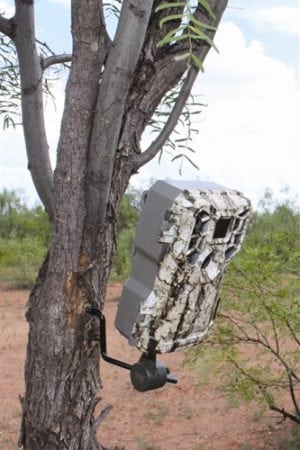 HME Economy Trail Camera Holder - GSM Outdoors