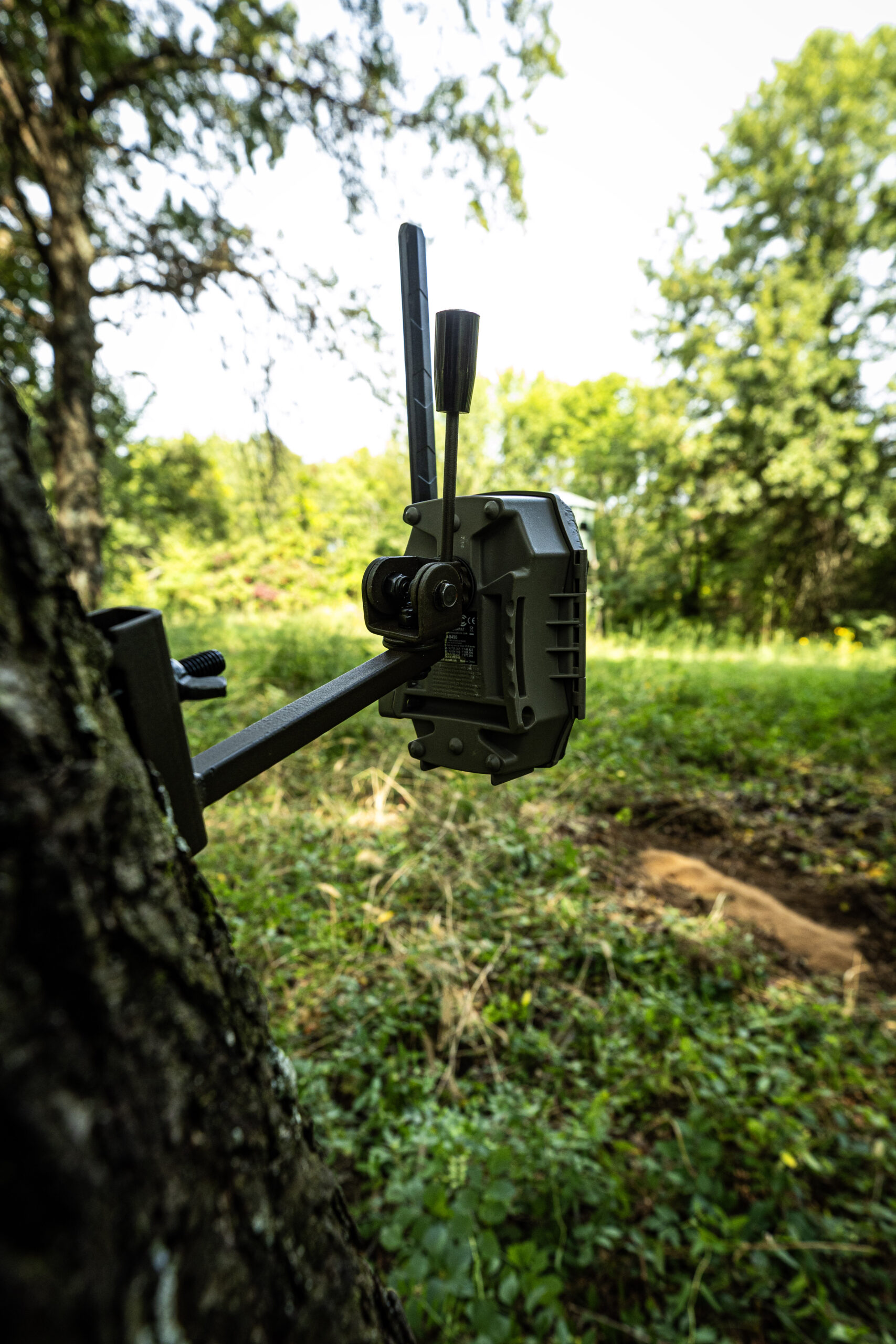 Why image quality from trail cameras matters