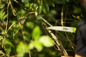 Folding Saw