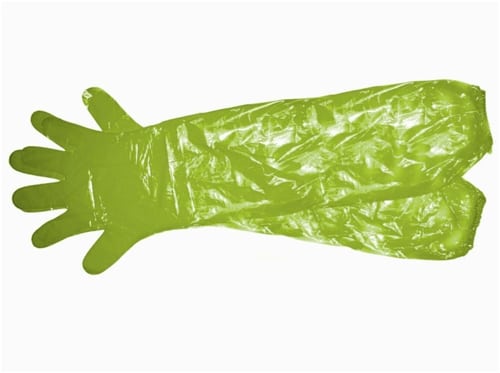 Single Game Cleaning Glove